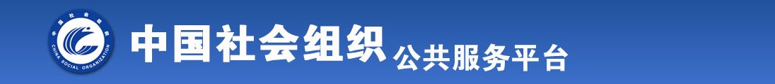 肏老女视频全国社会组织信息查询